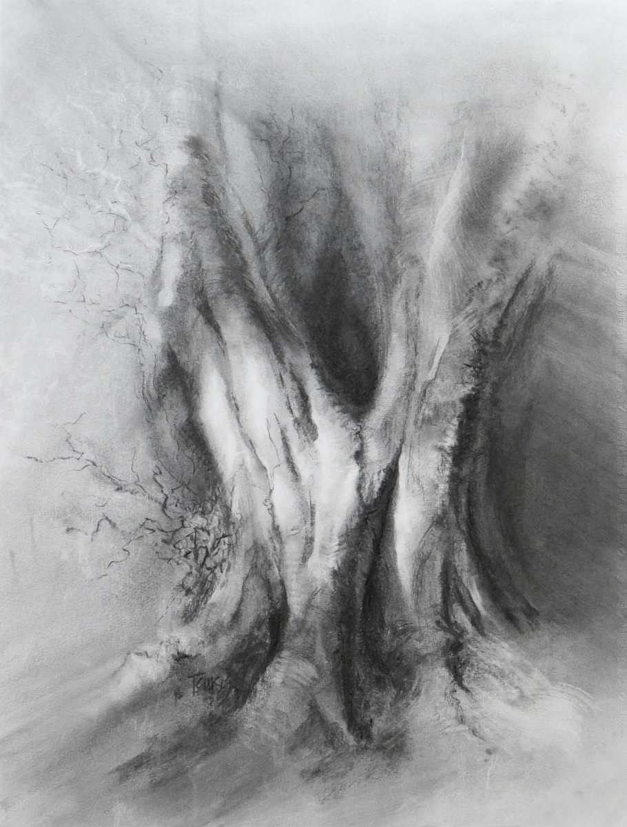 Calder bundled beech, Image 1.