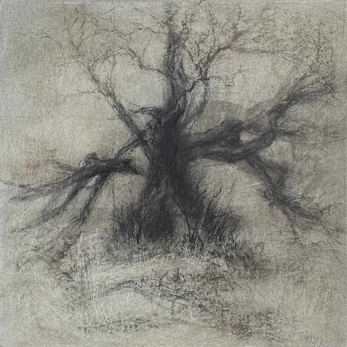 Cusp by Tansy Lee Moir, Image 1.