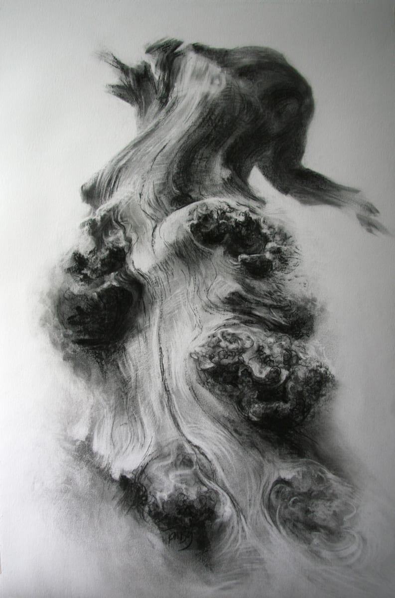 Dalkeith burred oak 5 by Tansy Lee Moir 