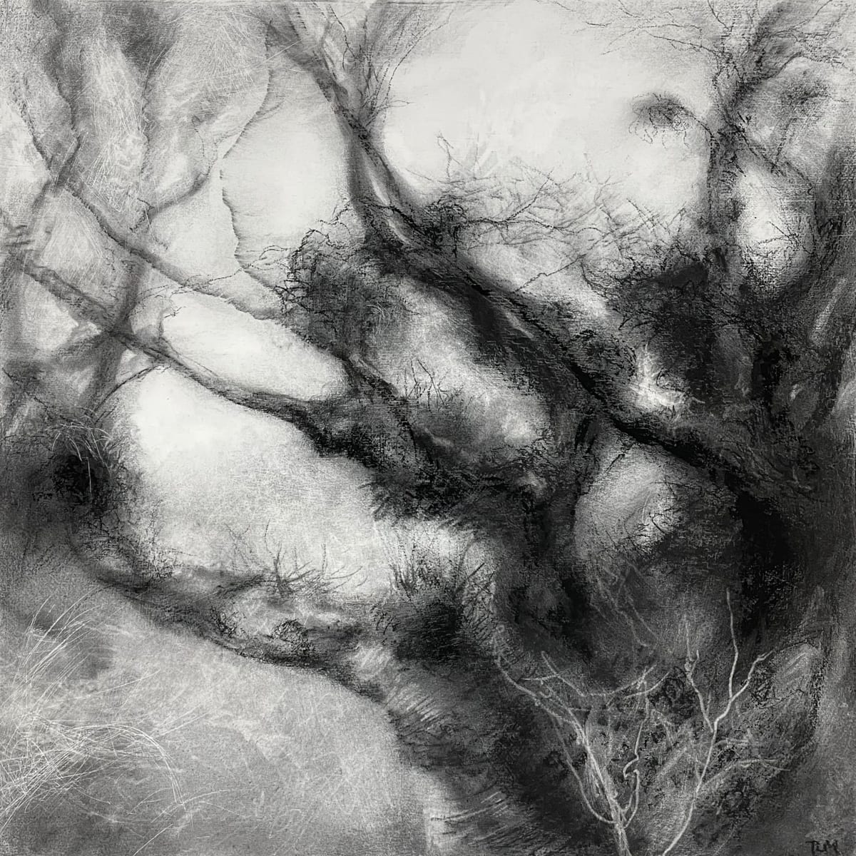 Douny by Tansy Lee Moir  Image: Artwork