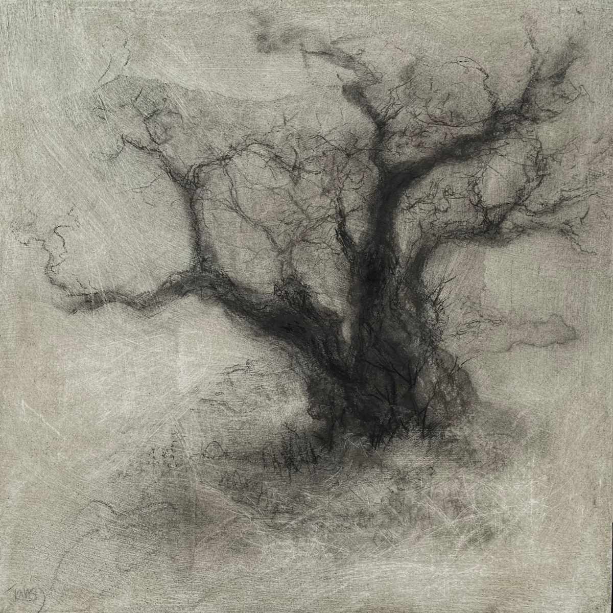 Echo by Tansy Lee Moir, Image 1.