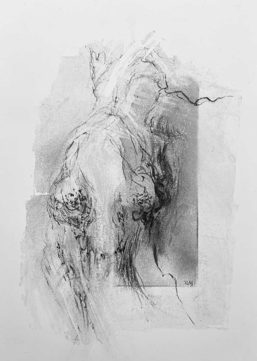 Figured oak 01 by Tansy Lee Moir 