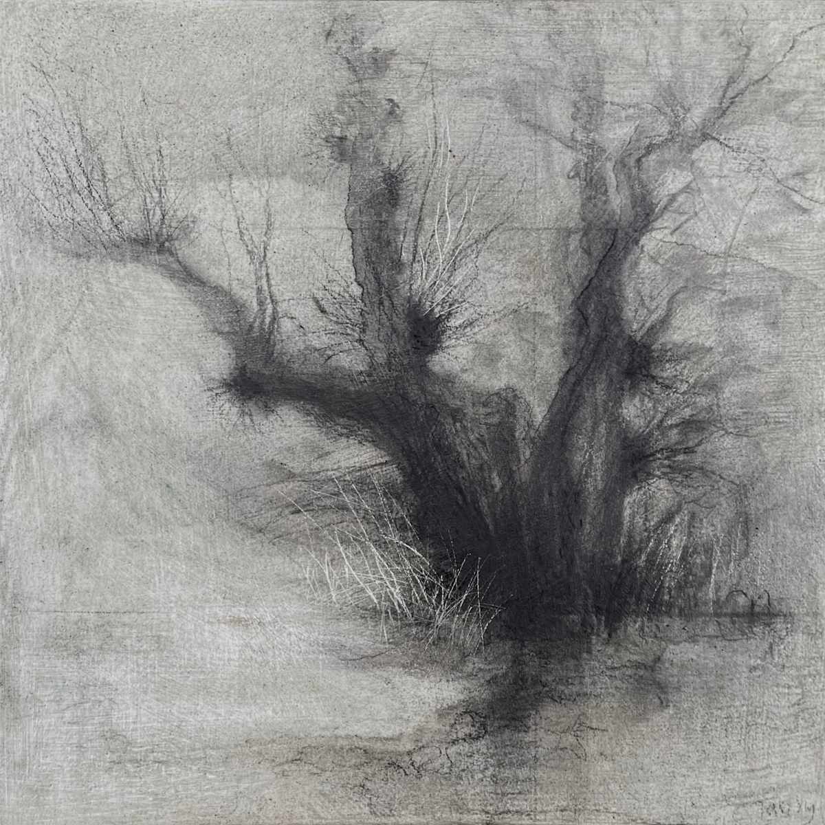 Glimmer by Tansy Lee Moir, Image 1.