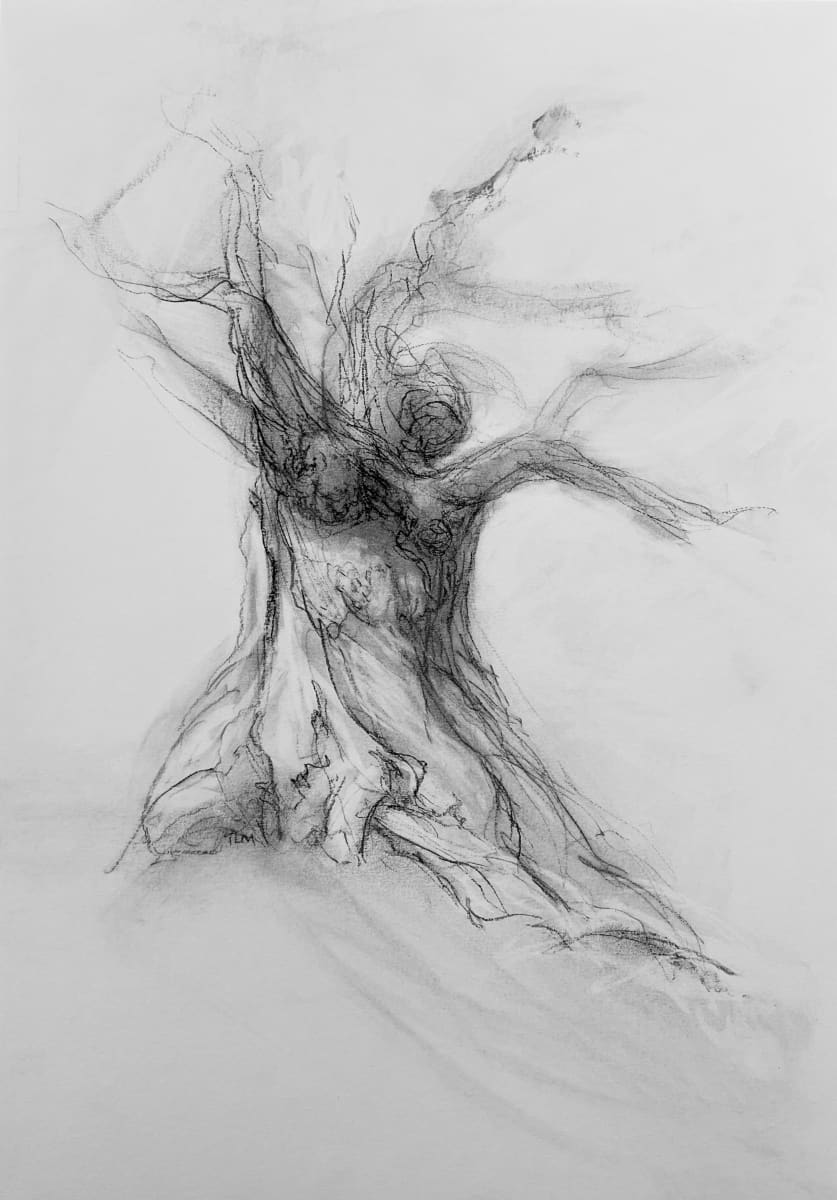 Chatsworth 029 by Tansy Lee Moir, Image 1.