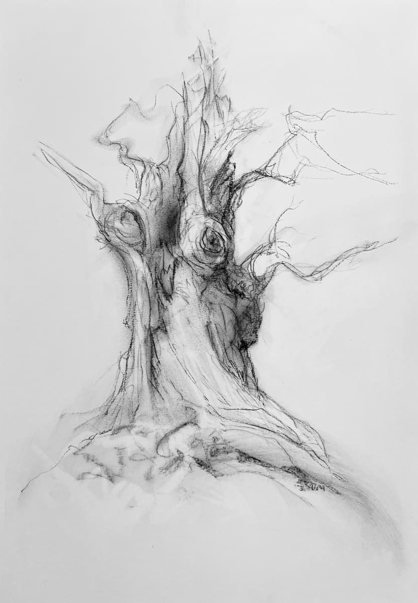 Chatsworth 031 by Tansy Lee Moir, Image 1.