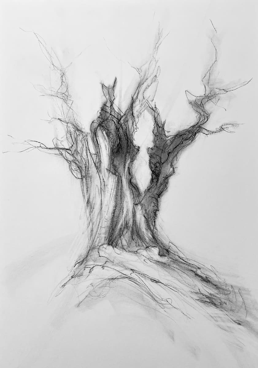 Chatsworth 025 by Tansy Lee Moir, Image 1.