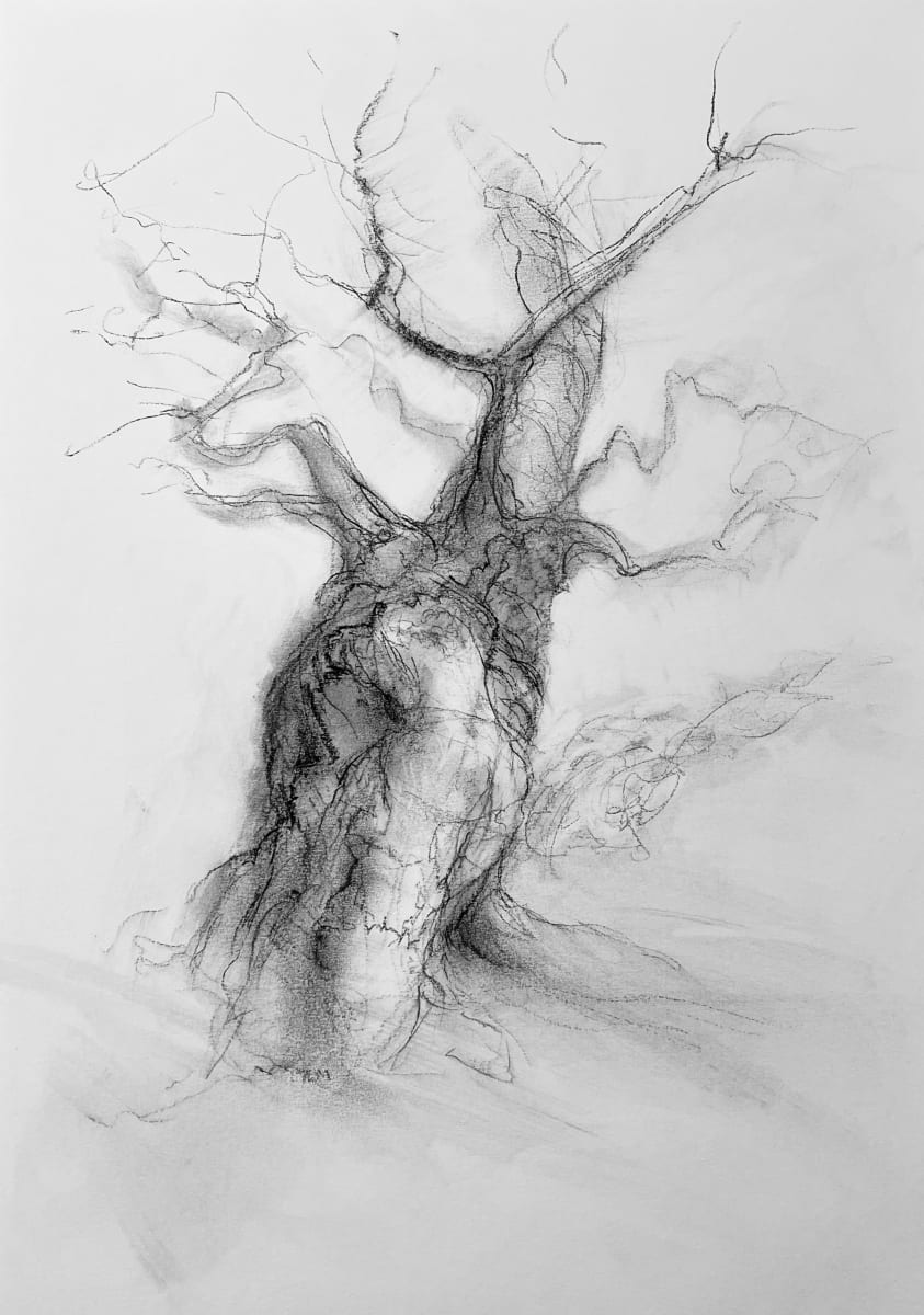 Chatsworth 022 by Tansy Lee Moir, Image 1.