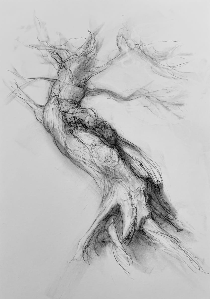 Chatsworth 019 by Tansy Lee Moir  Image: Artwork