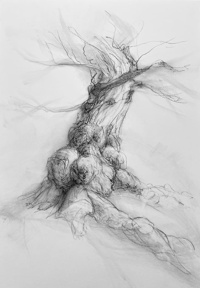 Chatsworth 027 by Tansy Lee Moir, Image 5.