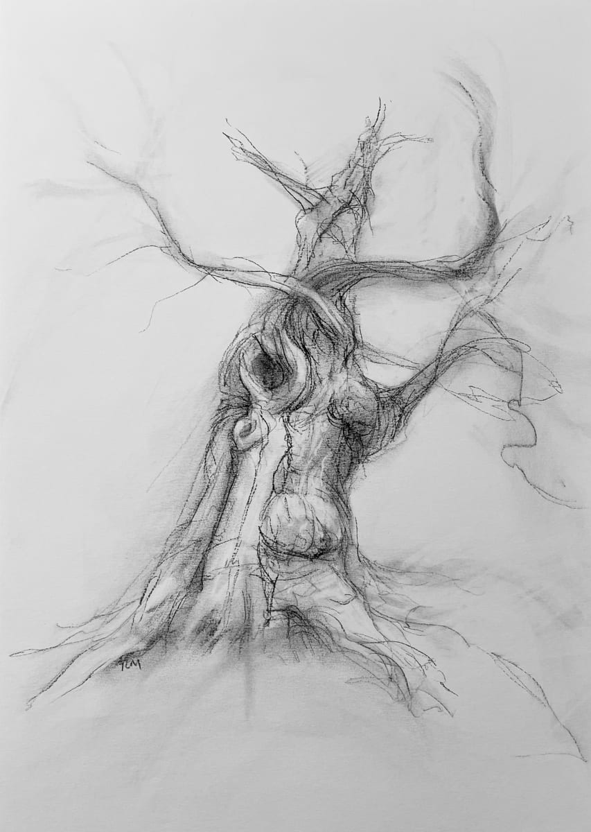 Chatsworth 026 by Tansy Lee Moir, Image 1.