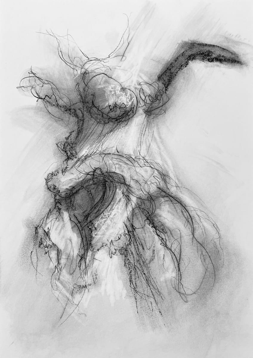 Chatsworth 030 by Tansy Lee Moir, Image 1.