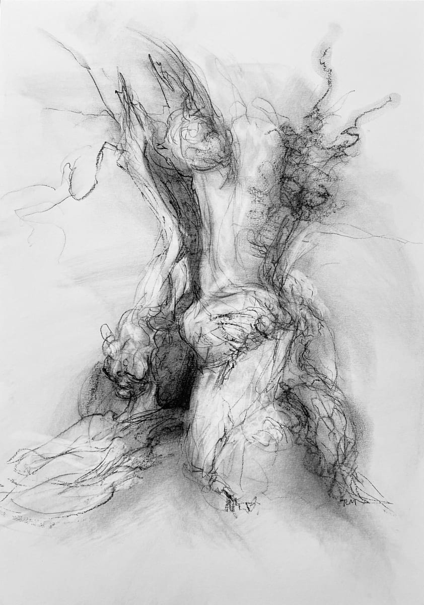 Chatsworth 013 by Tansy Lee Moir, Image 19.