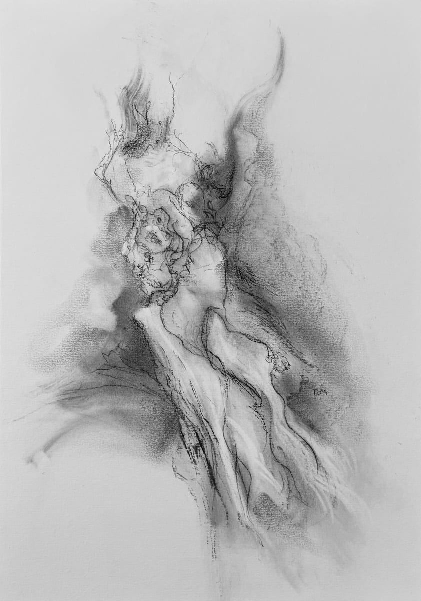 Chatsworth 016 by Tansy Lee Moir, Image 16.