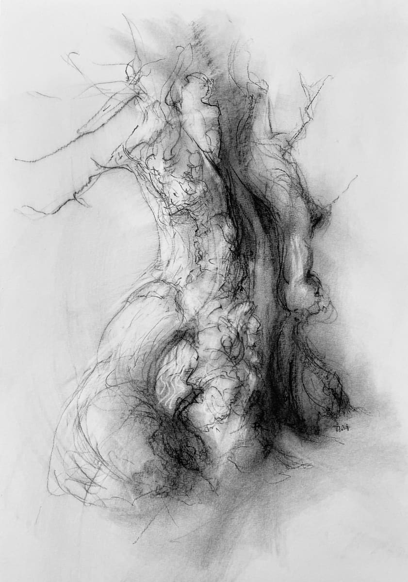 Chatsworth 018 by Tansy Lee Moir 