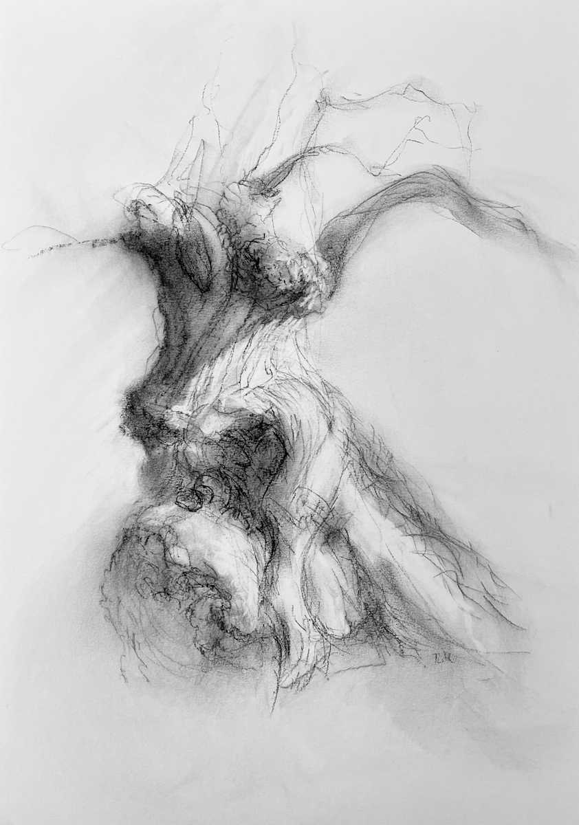 Chatsworth 017 by Tansy Lee Moir, Image 15.
