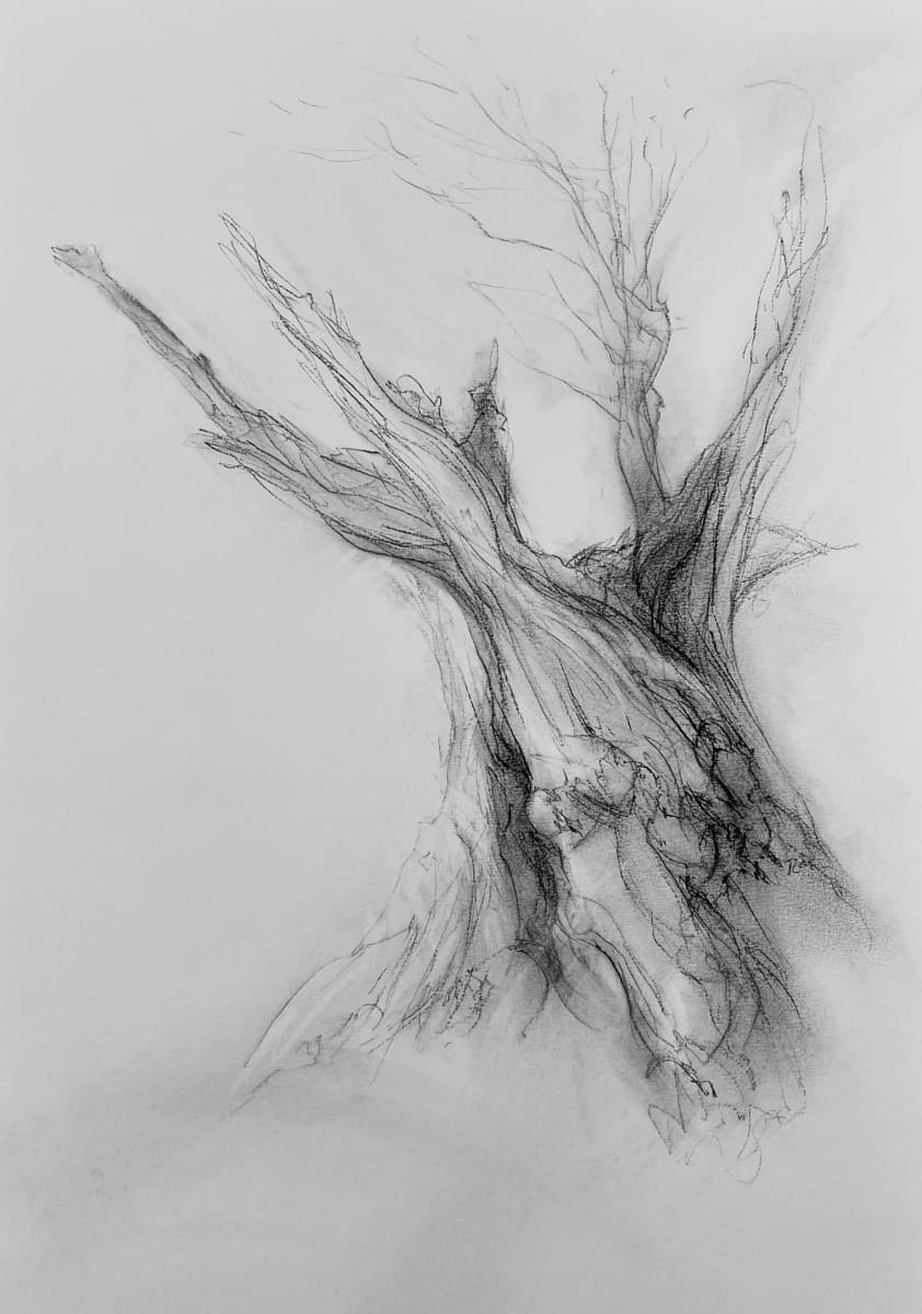 Chatsworth 020 by Tansy Lee Moir, Image 12.