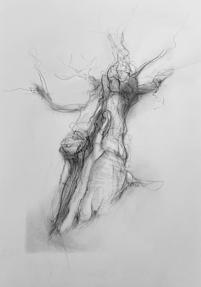 Chatsworth 021 by Tansy Lee Moir, Image 11.
