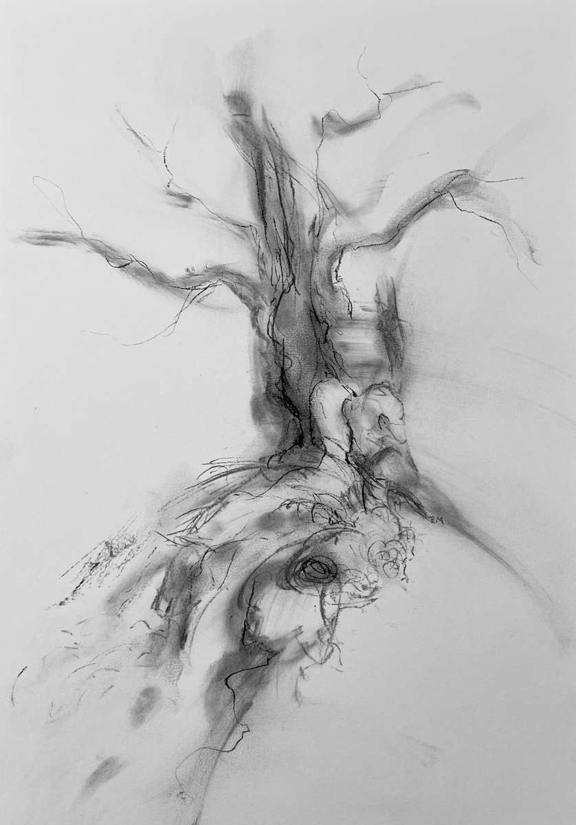 Chatsworth 014 by Tansy Lee Moir, Image 18.