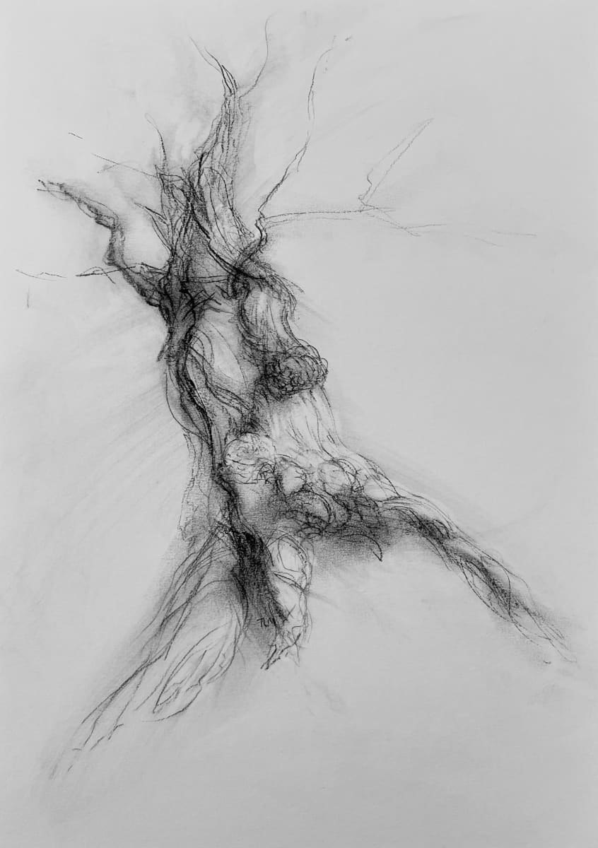 Chatsworth 015 by Tansy Lee Moir 