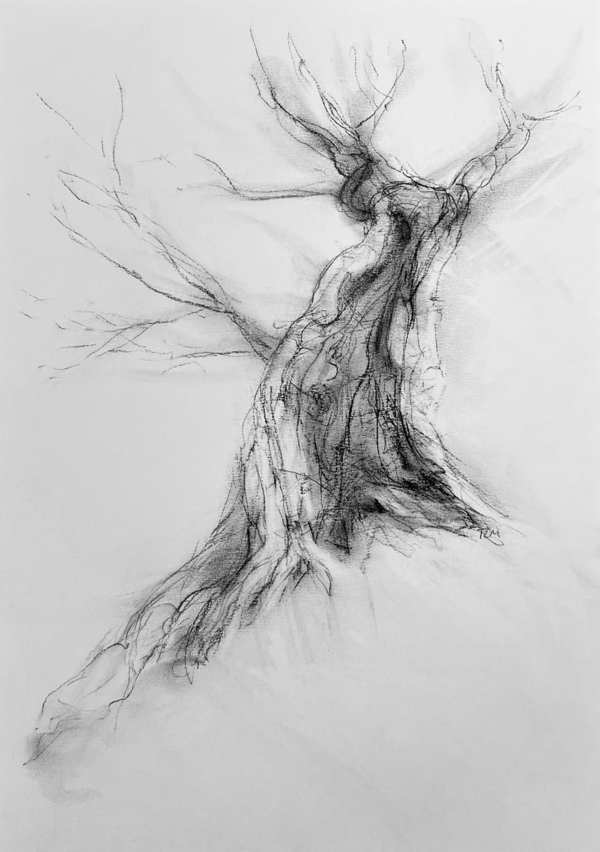 Chatsworth 010 by Tansy Lee Moir 