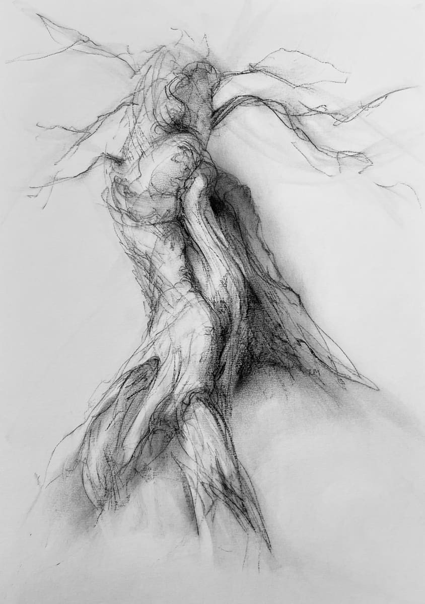 Chatsworth 012 by Tansy Lee Moir, Image 1.