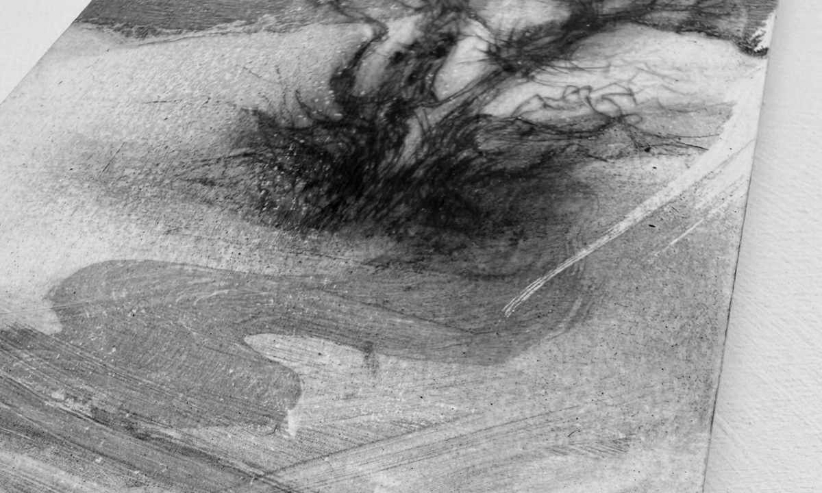 Hero image for 'Alder fragments'.