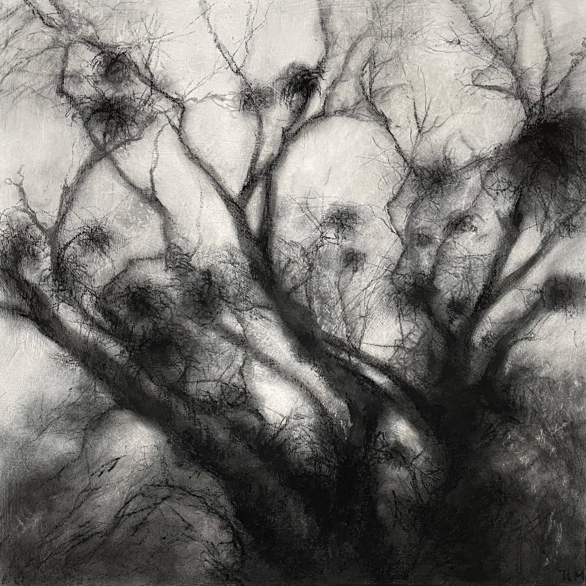 Burbelt by Tansy Lee Moir, Image 1.