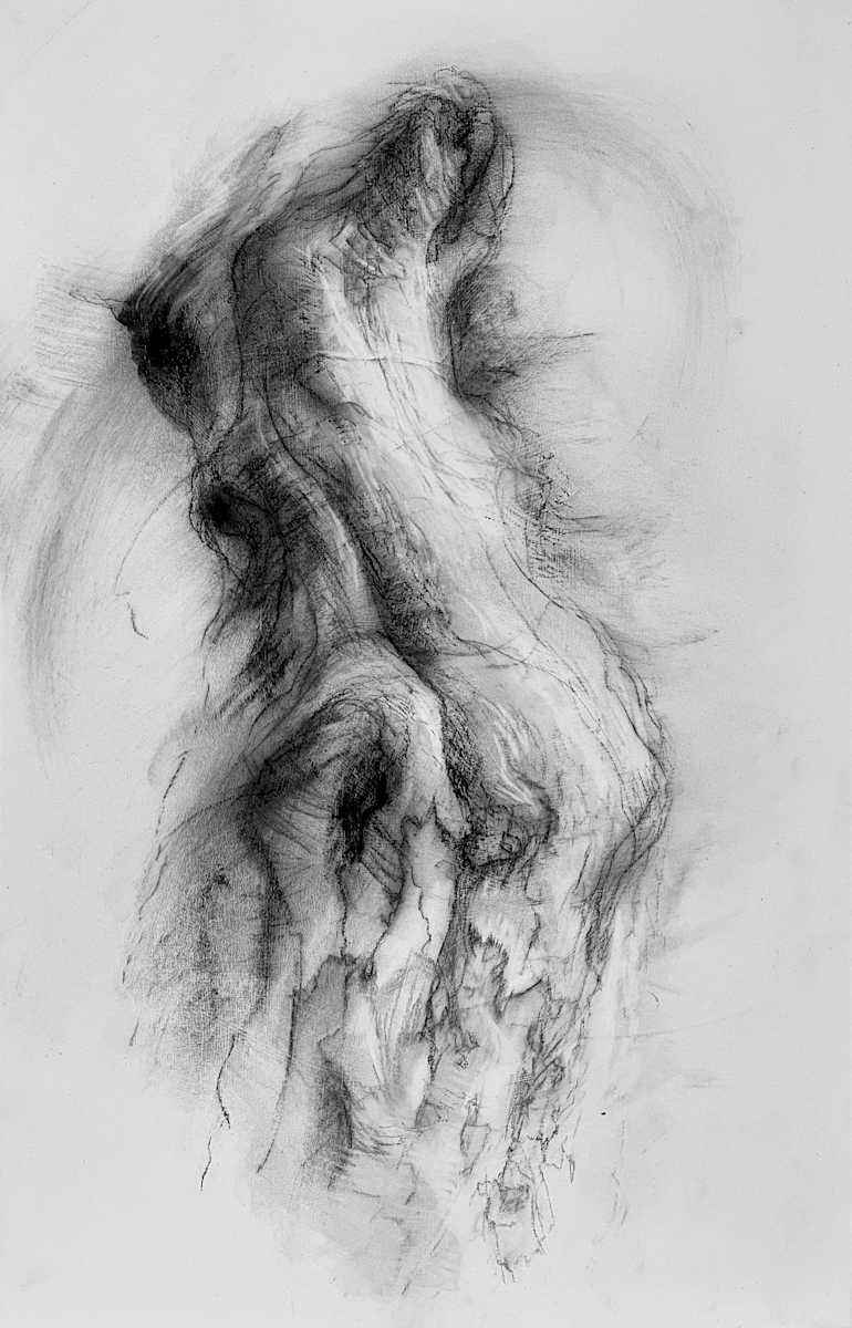 Transposed by Tansy Lee Moir, Image 1.