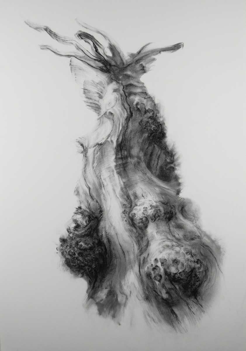 Confluence 1 by Tansy Lee Moir, Image 1.