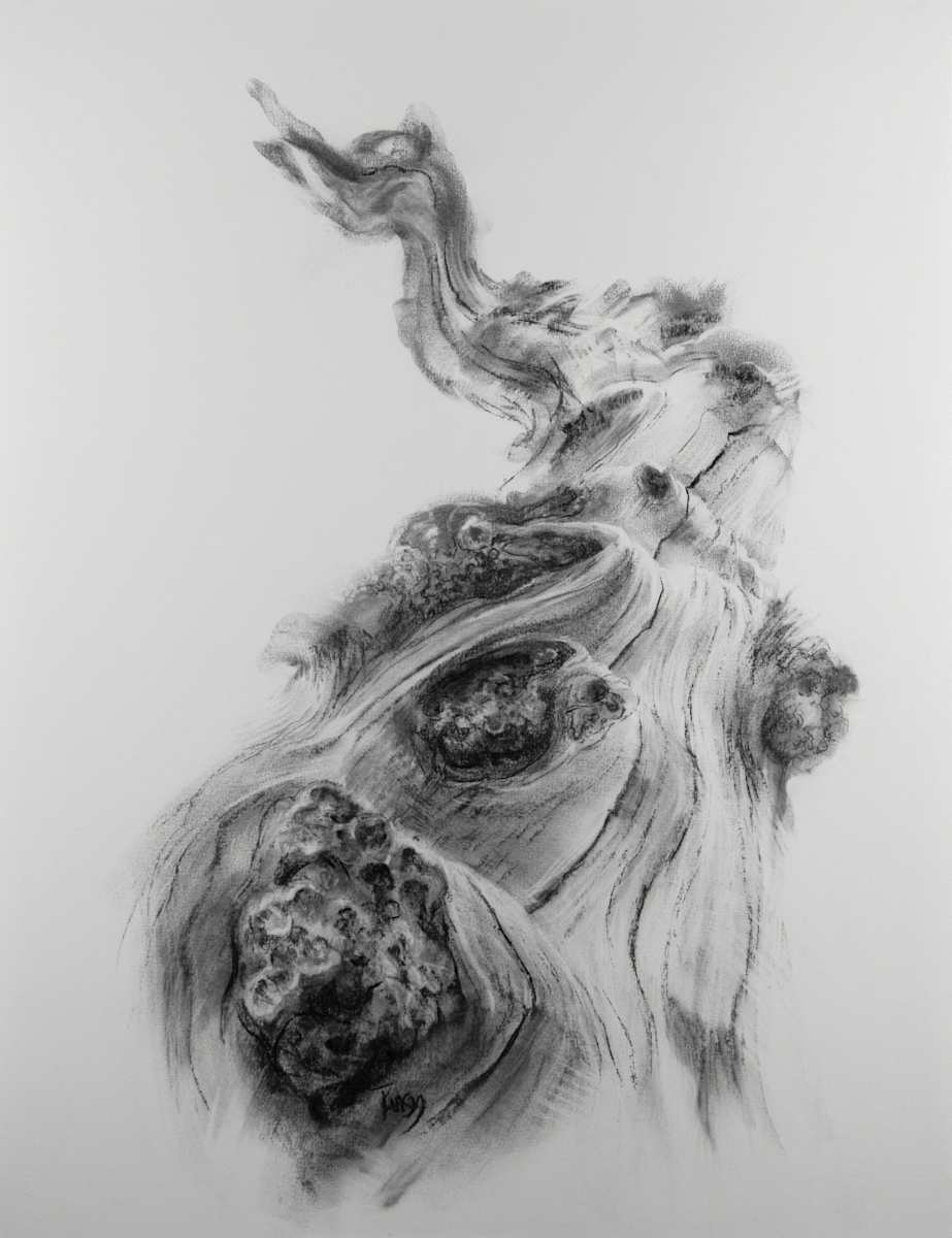 Eddies, Image 1.