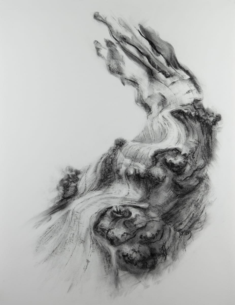 Rapids by Tansy Lee Moir  Image: Artwork