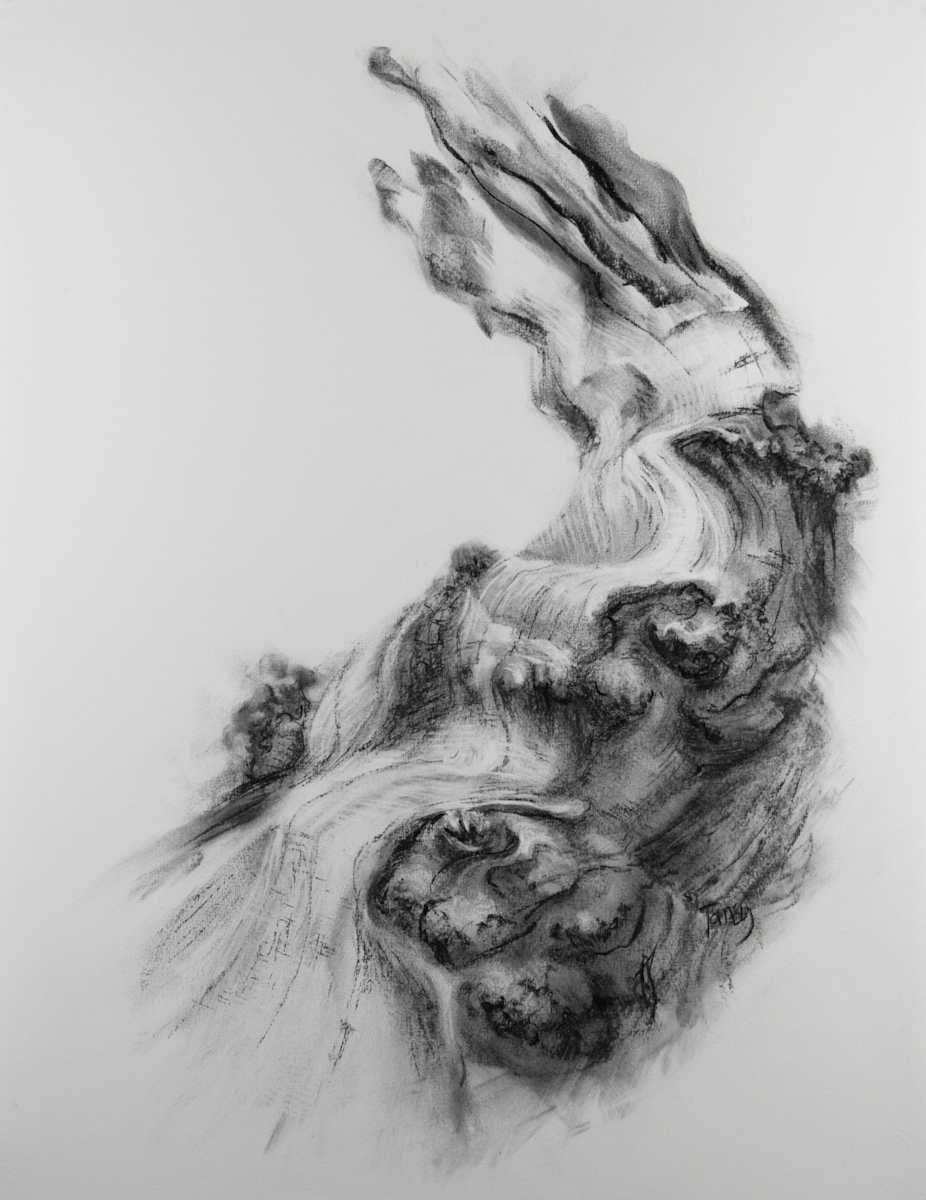 Rapids by Tansy Lee Moir, Image 1.