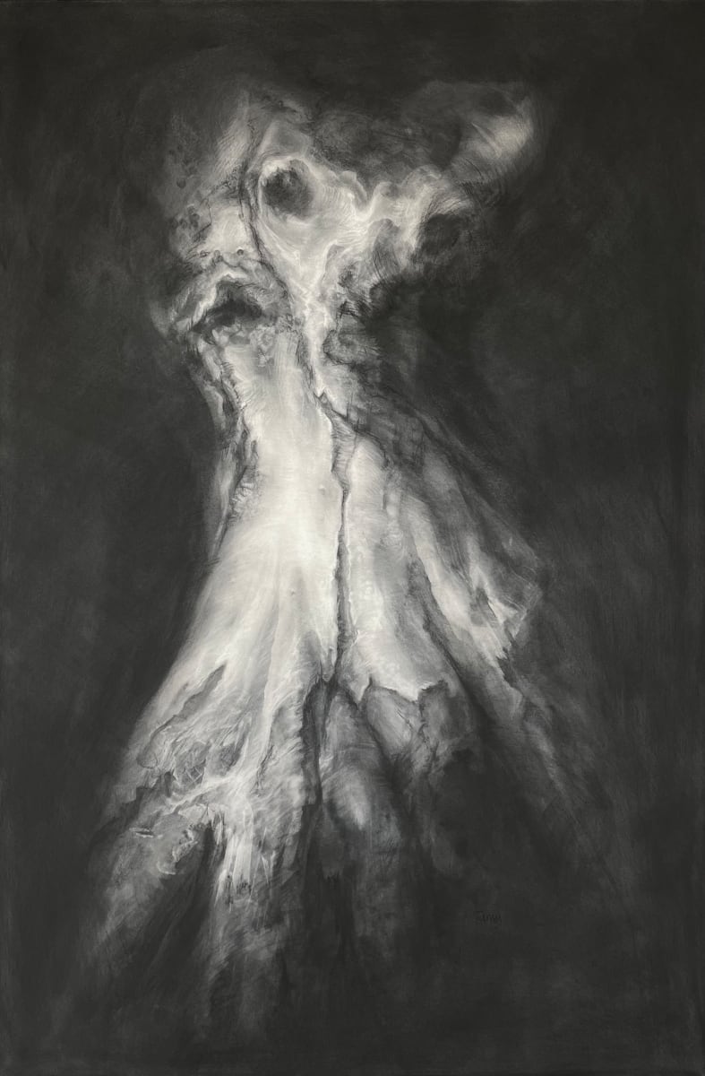 Caught by the light by Tansy Lee Moir, Image 1.