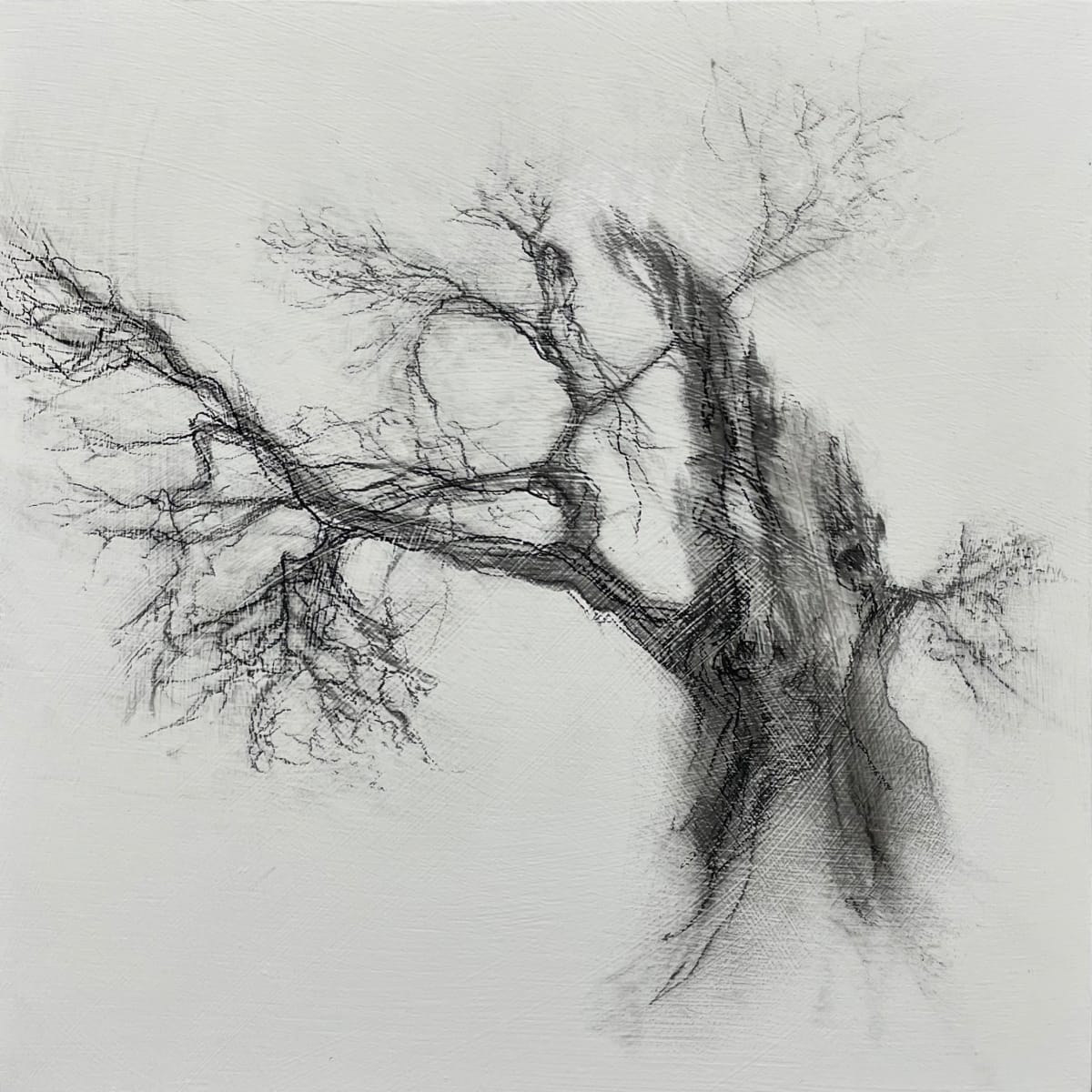 Scholar by Tansy Lee Moir  Image: Artwork