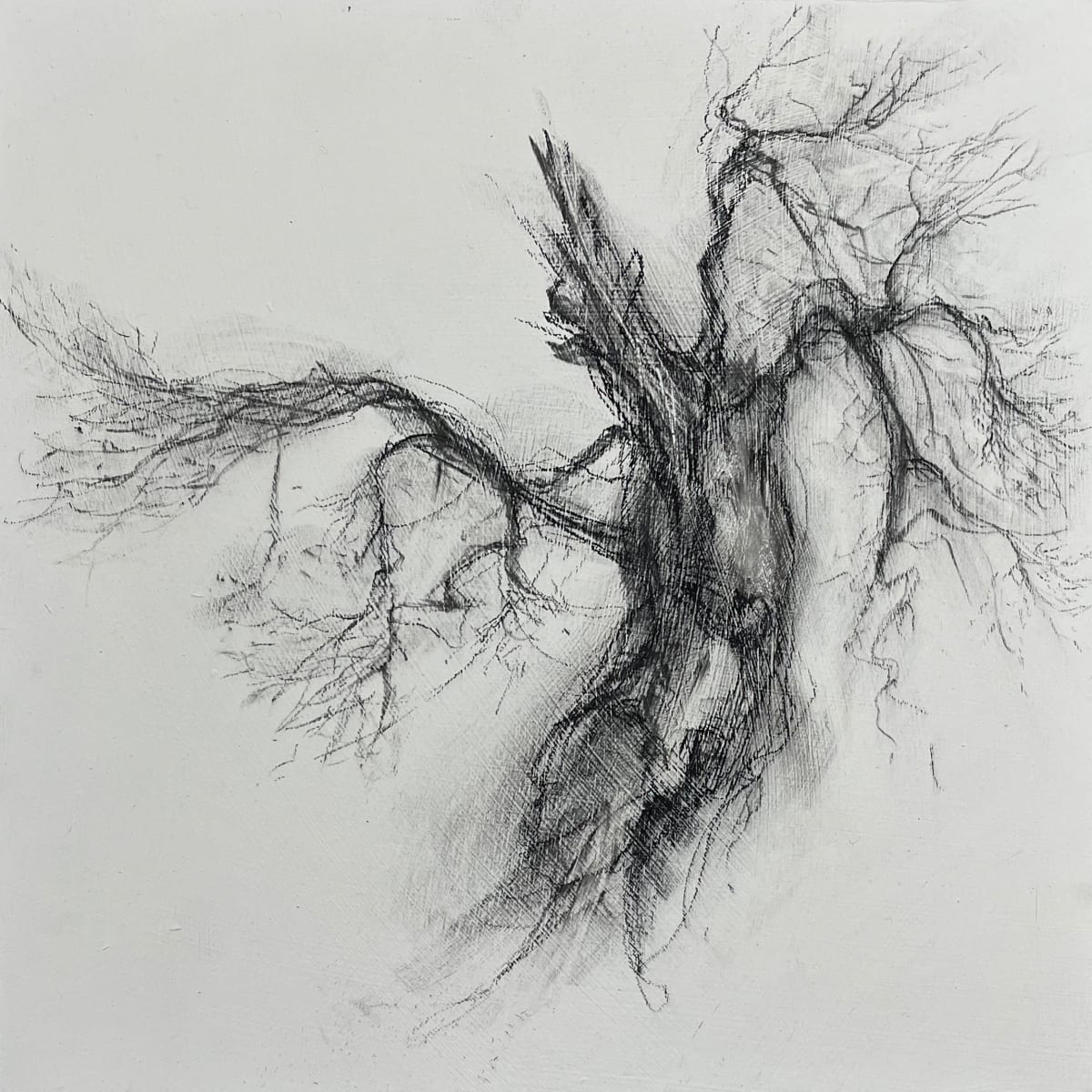 Angel by Tansy Lee Moir  Image: Artwork