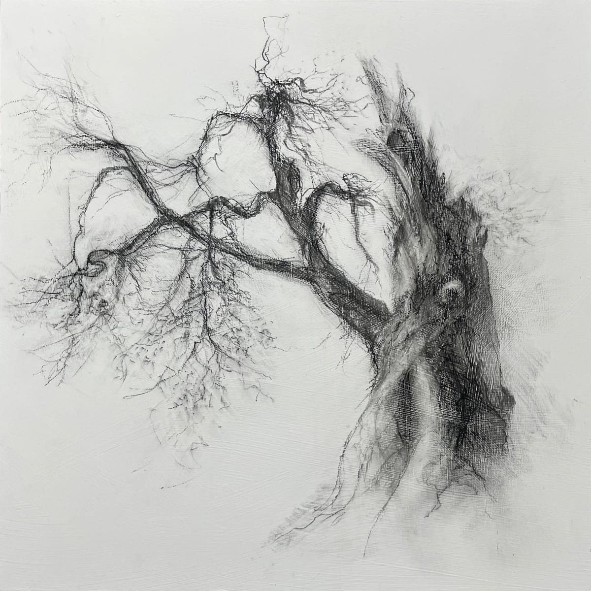 Oracle by Tansy Lee Moir  Image: Artwork