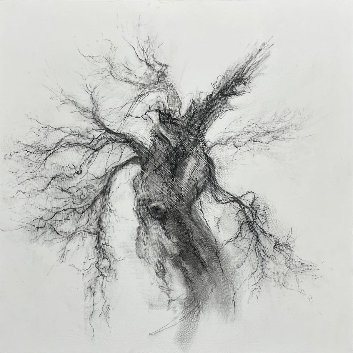 Messenger by Tansy Lee Moir, Image 2.