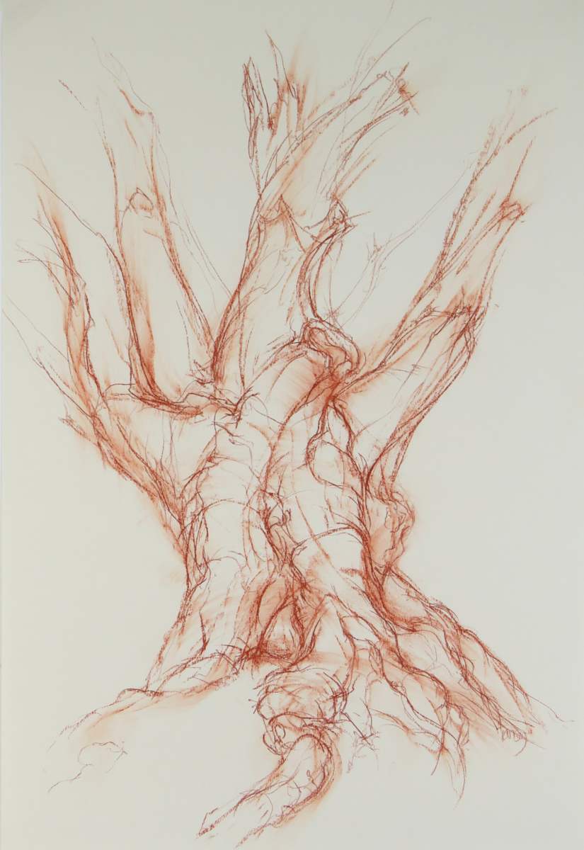 Kinclaven 003 by Tansy Lee Moir 