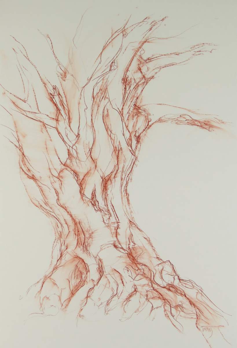 Kinclaven 004 by Tansy Lee Moir 