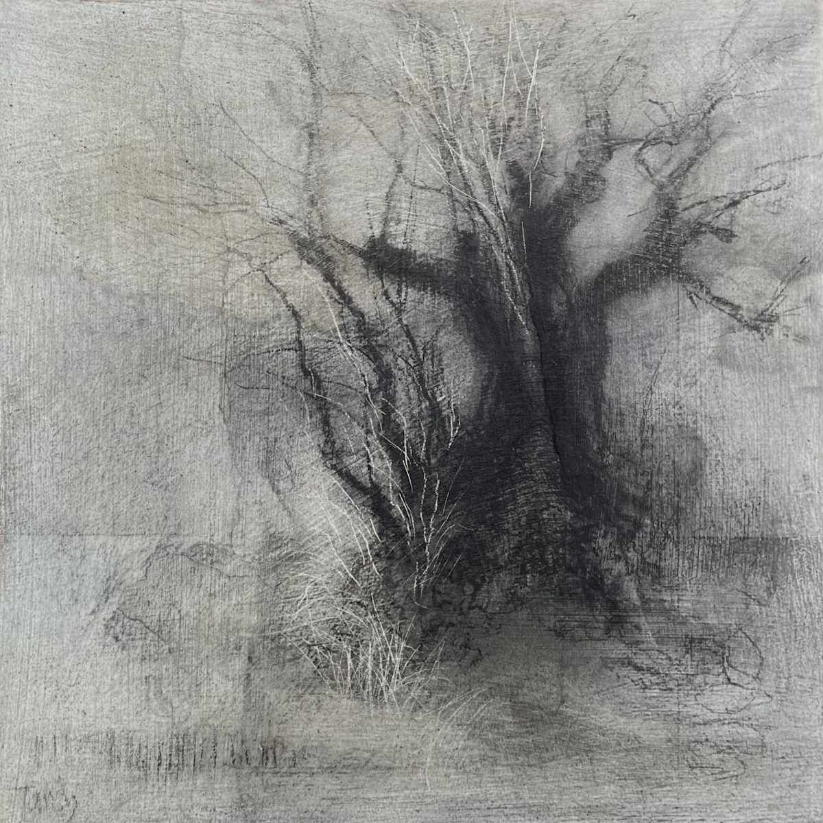 Margin by Tansy Lee Moir, Image 1.