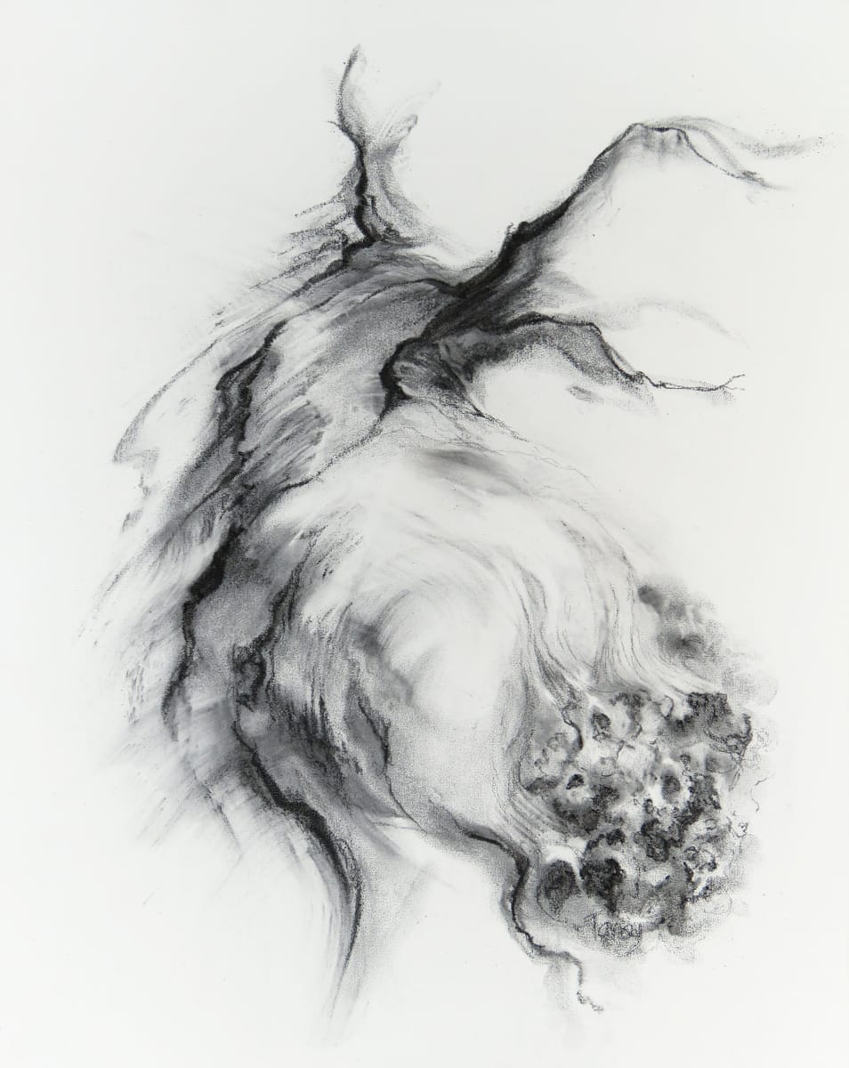 Rivers of oak 009 by Tansy Lee Moir  Image: Artwork