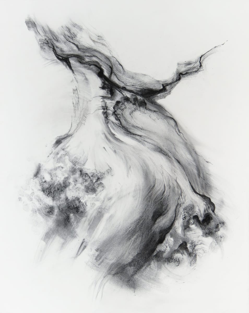 Rivers of oak 013 by Tansy Lee Moir  Image: Artwork