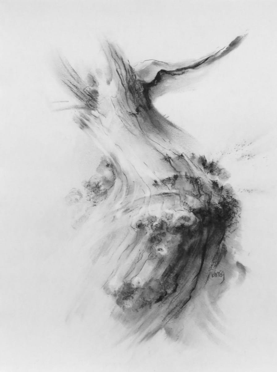 Rivers of oak 008 by Tansy Lee Moir 