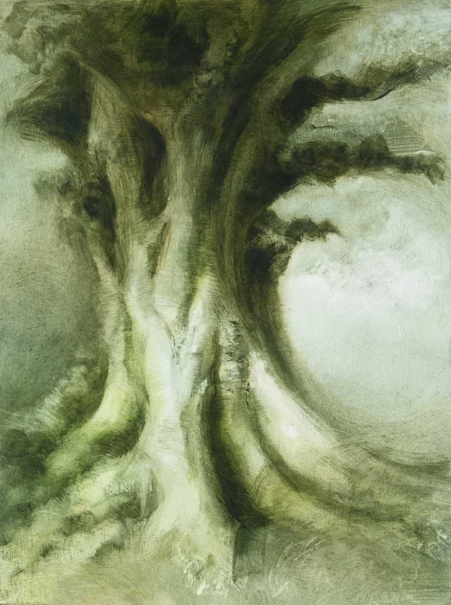 Roots reflected by Tansy Lee Moir, Image 1.