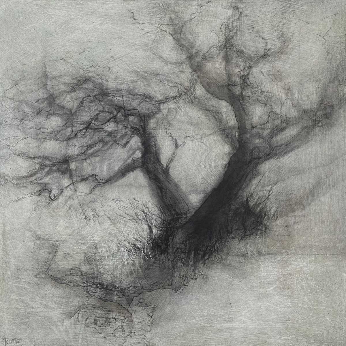 Search's end by Tansy Lee Moir, Image 1.