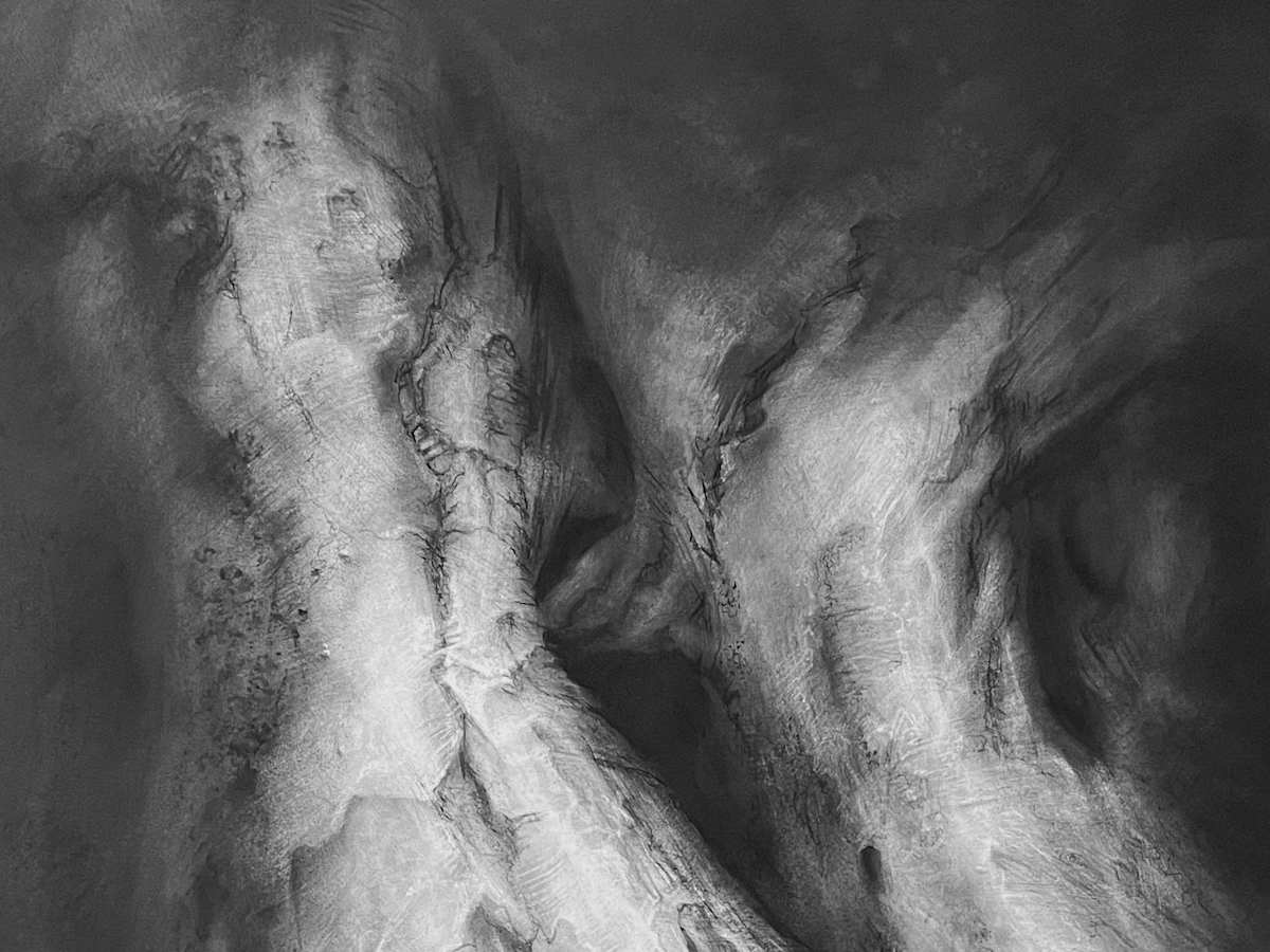 Hero image for 'Seen in the Trees' Solo Exhibition at Arundells, Salisbury.