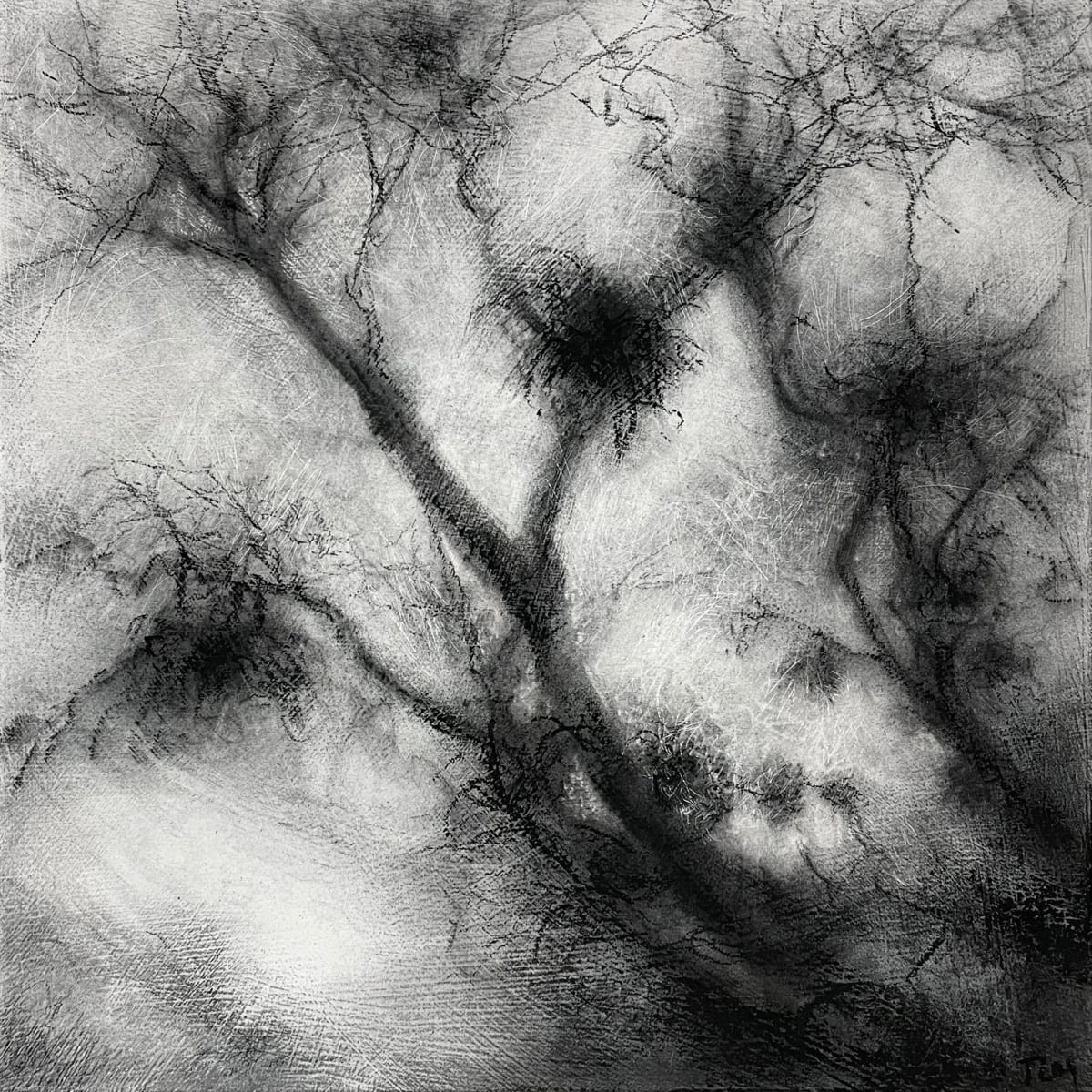 Sprig by Tansy Lee Moir 