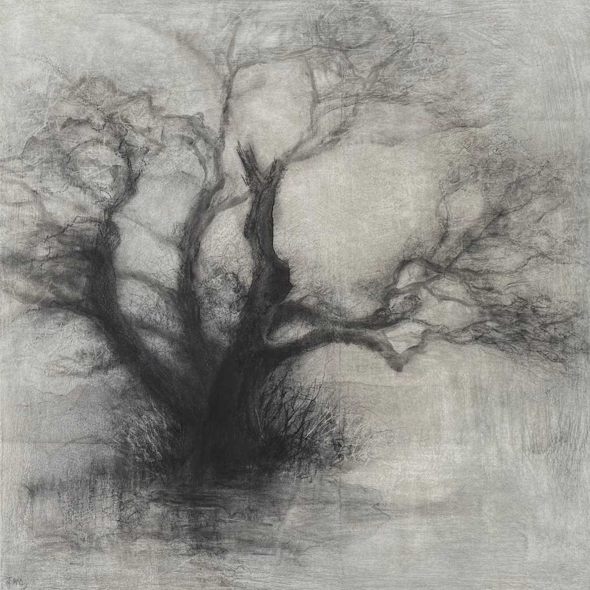 Threshold by Tansy Lee Moir, Image 1.
