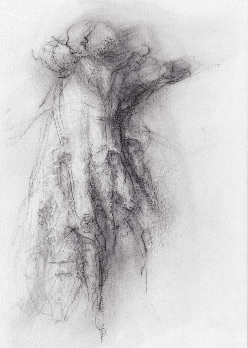 Transformation study 10 by Tansy Lee Moir 