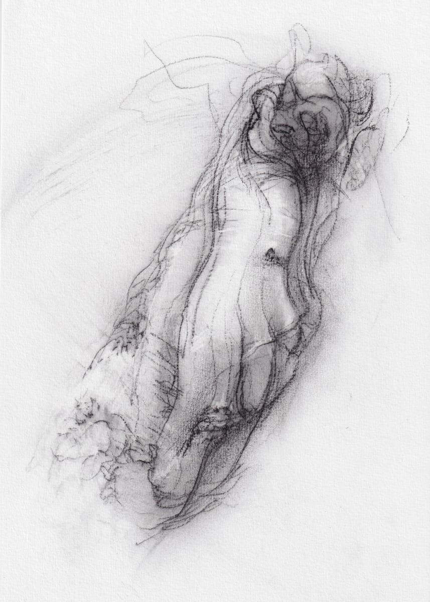 Transformation study 11 by Tansy Lee Moir, Image 1.